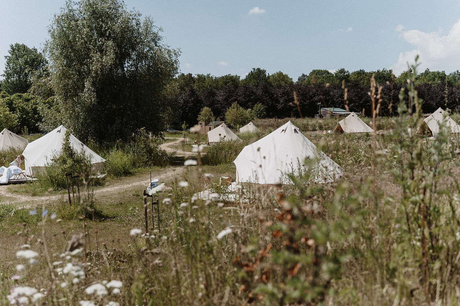 Business Event in naturnaher Outdoor-Location mit Zelten – geplant von einem Hochzeitsplaner