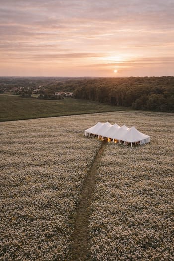 Sailcloth Zeltlandschaft für eine Hochzeit im Freien in einem blühenden Kamillenfeld bei Sonnenuntergang