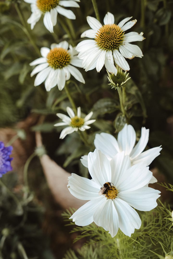 Blumendetail in Naturfarben als Teil eines modernen Wedding Designs