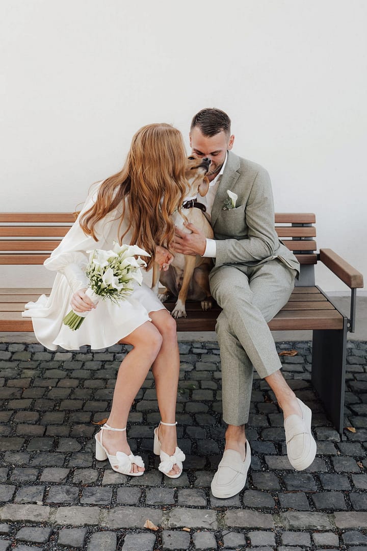 Modernes Brautpaar mit Hund bei einer entspannten, persönlich geplanten Hochzeit