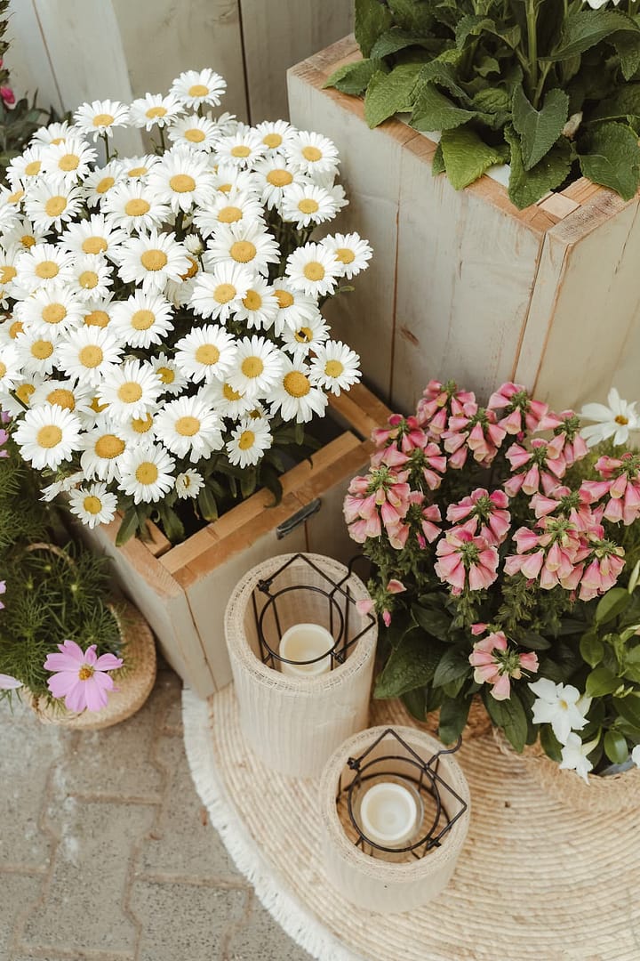 Natürliche Floristik mit Margeriten, Sommerblumen und Windlichtern als Teil einer hochwertig geplanten Zelthochzeit auf privatem Anwesen – detailreiches Eventdesign im Rahmen eines Wedding Weekends.