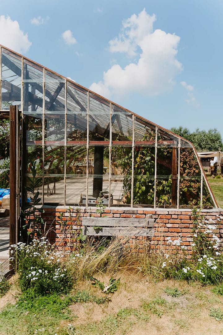 Gewächshaus in natürlicher Umgebung als besondere Location für eine Outdoor-Hochzeit – passend zur Philosophie der Hochzeitsplanung.