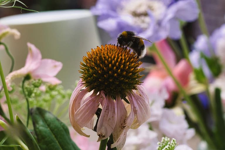 Naturdeko mit 400 Stauden Pflanzen bei einer Zelthochzeit auf privatem Anwesen – durchdachtes und nachhaltiges Hochzeits- und Eventdesign