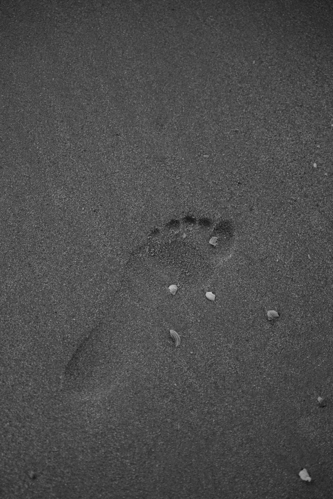 FuĂźspur im Sand mit Muscheln als ruhiges Detail einer Hochzeit in Holland am Strand