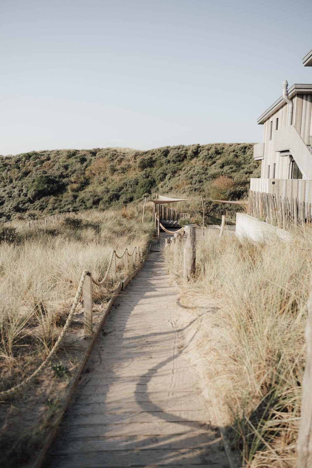 Holzsteg durch die DĂĽnen bei einer Hochzeit in Holland, begleitet von einem Hochzeitsplaner