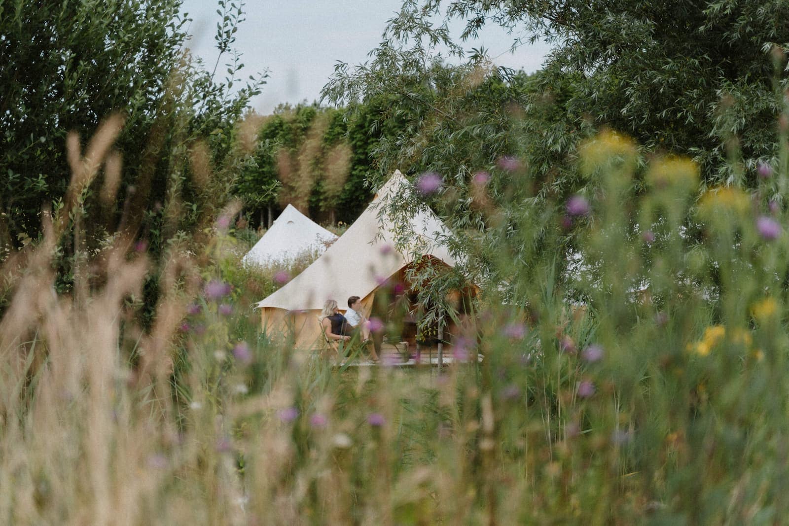 Zeltunterkünfte im Grünen, umgeben von Wildblumen und Bäumen